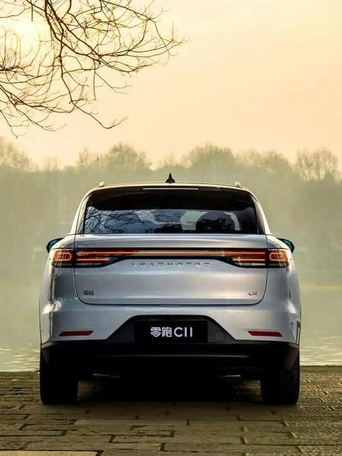 零跑汽车品牌价值的塑造,名爵年轻化战略的成功之路